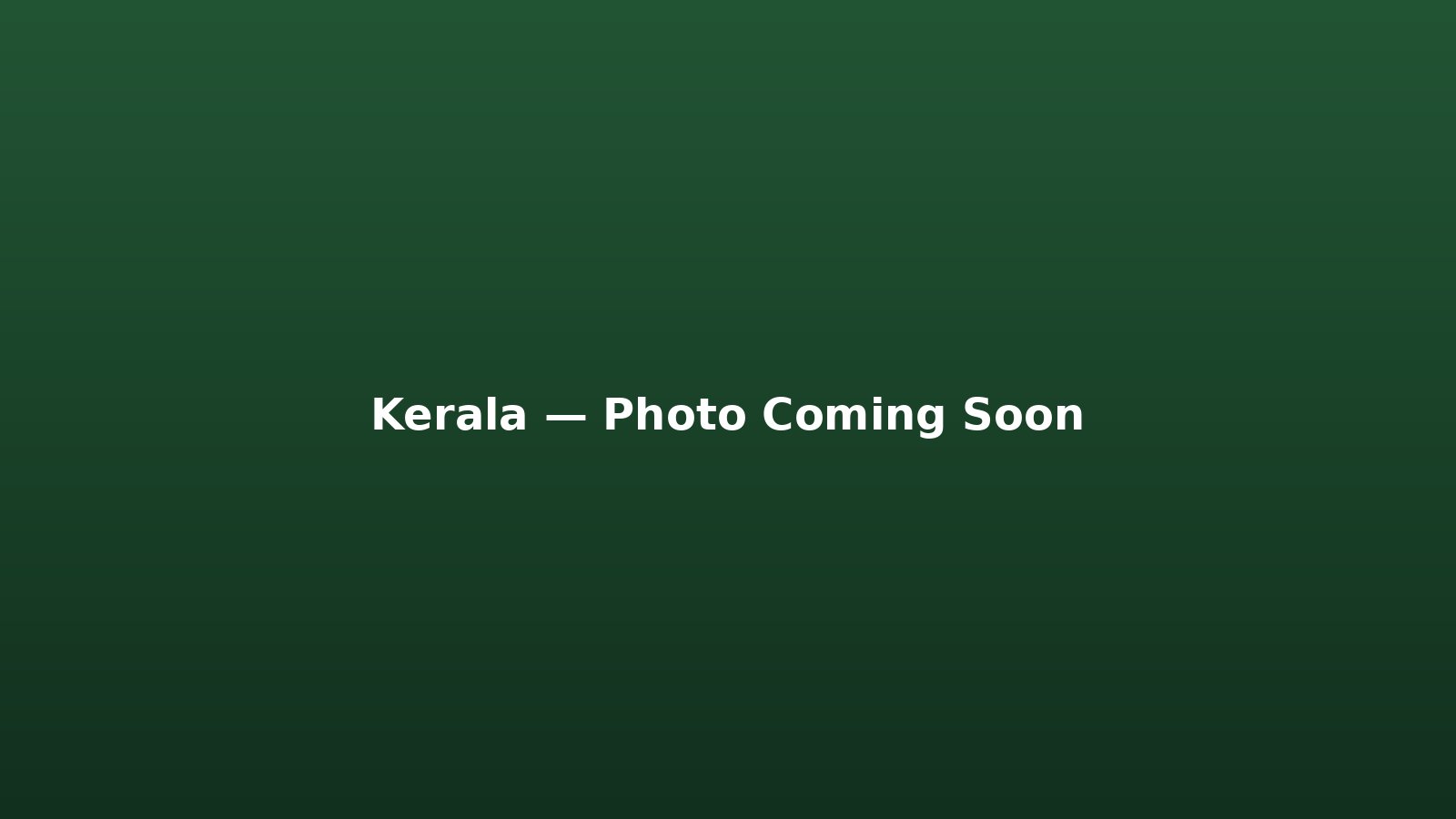 Lush green Kerala landscape — tea plantations and hill country